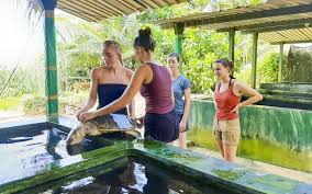 Gap Year Abroad Program with Real Cultural Exchange